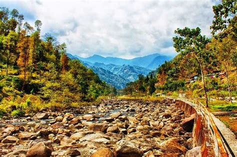 rajshree royal sikkim|MyRajshree.